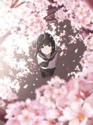 Rule 34 | 1girl, absurdres, arms behind back, black eyes, black hair, black sailor collar, black skirt, cherry blossoms, commentary request, cover, crying, crying with eyes open, from above, highres, long hair, long sleeves, looking at viewer, looking up, official art, oka kojiro, original, pleated skirt, sailor collar, scenery, school uniform, serafuku, skirt, smile, solo, standing, streaming tears, tears, uniform