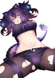 Rule 34 | 1girl, absurdres, animal ears, aqua eyes, arm behind back, arm support, bare shoulders, big hair, breasts, brown pantyhose, butt crack, cerberus (kemono friends), collar, cutoffs, deku suke, dog ears, dutch angle, fang, fingernails, foreshortening, glowing, glowing hair, hair between eyes, half-closed eyes, hand on own chest, hand up, head tilt, highres, kemono friends, large breasts, leaning back, pantyhose under shorts, looking at viewer, midriff, multicolored hair, nail polish, navel, neck ribbon, open clothes, open fly, open mouth, open shorts, pantyhose, purple hair, purple ribbon, red hair, ribbon, scar, scar across eye, scar on face, sharp fingernails, short shorts, shorts, simple background, sitting, solo, spiked collar, spikes, spread legs, stomach, strapless, tail, thigh strap, torn clothes, torn pantyhose, tube top, twintails, unbuttoned, white background
