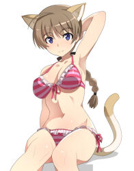 Rule 34 | 1girl, animal ears, armpits, bikini, blue eyes, blush, braid, braided ponytail, breasts, brown hair, cat ears, cat girl, cat tail, cleavage, frilled bikini, frills, large breasts, long hair, lynette bishop, nanashino, navel, presenting armpit, simple background, solo, strike witches, striped bikini, striped clothes, swimsuit, tail, white background, world witches series