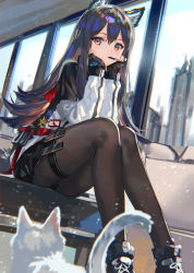 Rule 34 | 1girl, animal ear fluff, animal ears, arknights, black hair, black pantyhose, black shorts, brown eyes, cat, commentary request, fingerless gloves, food, food in mouth, gloves, hair between eyes, head rest, highres, holster, long hair, long sleeves, looking at viewer, pantyhose, pocky, ran&#039;ou (tamago no kimi), shorts, sitting, solo, texas (arknights), thigh holster, wolf ears