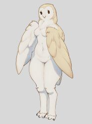 Rule 34 | 1girl, absurdres, barn owl, beak, bird, bird girl, bird tail, black eyes, breasts, claws, commentary, feathered wings, feathers, full body, furry, furry female, highres, looking at viewer, masc0t361, original, owl, owl girl, small breasts, standing, tail, wide hips, winged arms, wings