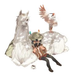 Rule 34 | 10s, 1girl, alpaca, alpaca suri (kemono friends), animal, animalization, artist name, backpack, unworn backpack, bag, unworn bag, bird, black gloves, black hair, black pantyhose, brown footwear, bucket hat, closed eyes, crested ibis, cup, dappled sunlight, dot nose, drink, drinking, full body, gloves, hair between eyes, hat, hat feather, crested ibis, japanese crested ibis (kemono friends), kab00m chuck, kaban (kemono friends), kemono friends, loafers, pantyhose, pantyhose under shorts, saucer, shoes, short hair, short sleeves, shorts, signature, simple background, sitting, sunlight, teacup, traditional clothes, wavy hair, white background