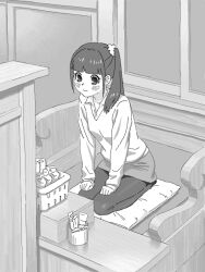 Rule 34 | 1girl, bad drawr id, bad id, basket, blunt bangs, blush, bottle, character request, closed mouth, collared shirt, copyright request, cushion, francine (daijaemon), greyscale, hair ornament, hair scrunchie, hands on lap, indoors, long hair, long sleeves, miniskirt, monochrome, oekaki, pantyhose, pencil skirt, pillow, scrunchie, seiza, shirt, side ponytail, sitting, skirt, sleeves past wrists, solo, sweater, table, window