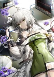 Rule 34 | alarm clock, animal ear fluff, animal ears, arknights, bare shoulders, black gloves, breasts, cat ears, cleavage, clock, closed mouth, collar, commentary request, criss-cross halter, dress, expressionless, flower, gloves, green dress, green eyes, halter dress, halterneck, hand on own chest, highres, holding, holding clothes, holding gloves, kal&#039;tsit (arknights), lab coat, long sleeves, looking away, looking to the side, lying, material growth, medium breasts, on back, open clothes, oripathy lesion (arknights), purple flower, rhodes island logo (arknights), see-through, short hair, silver hair, solo, sparkle, tabayashi, television, watch, wristwatch