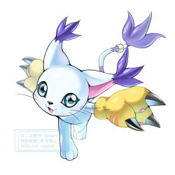 animal_hands blue_eyes body_fur cat digimon digimon_(creature) full_body gloves highres paw_gloves shingetsu_(doru0222) simple_background solo tail tail_ornament tail_ring tailmon twitter_username watermark whiskers white_background white_fur yellow_gloves