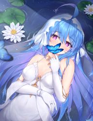 Rule 34 | 1girl, absurdres, ahoge, armpit crease, artist name, azur lane, blue hair, breasts, bridal veil, bride, bug, butterfly, commentary, covered navel, covering own mouth, dress, elbow gloves, english commentary, gloves, gold choker, hair between eyes, helena (azur lane), helena (miracle in white) (azur lane), highres, insect, jewelry, kyl490, lily pad, long hair, looking at viewer, lying, medium breasts, official alternate costume, on water, purple eyes, ring, sidelocks, signature, veil, very long hair, water lily flower, wedding dress, wedding ring, white dress, white gloves