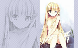 Rule 34 | 1girl, blonde hair, breasts, censored, convenient censoring, flower, gosick, green eyes, highres, lily (flower), long hair, looking at viewer, mizoguchi keiji, navel, nude, sitting, small breasts, solo, victorica de blois, wallpaper, zoom layer