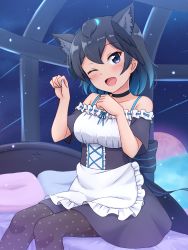 Rule 34 | 1girl, ;d, absurdres, animal ear fluff, animal ears, apron, bare shoulders, bed, black choker, black eyes, black hair, blue hair, blue nails, blush, breasts, cat ears, choker, commentary request, frills, gradient hair, head wings, highres, kemono friends, kemonomimi mode, maid, medium breasts, multicolored hair, nail polish, on bed, one eye closed, open mouth, pantyhose, paw pose, pillow, polka dot, polka dot legwear, shiraha maru, short hair, short sleeves, sitting, sky, smile, solo, star (sky), star (symbol), starry sky, superb bird-of-paradise (kemono friends), tail, waist apron, wings