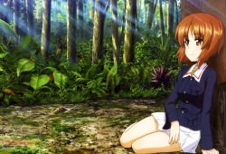 Rule 34 | 1girl, absurdres, armored vehicle, bare legs, blue jacket, brown eyes, brown hair, bush, closed mouth, collarbone, fern, forest, girls und panzer, grass, green shirt, highres, itou takeshi, jacket, jungle, leaf, light rays, long sleeves, military, military uniform, military vehicle, motor vehicle, nature, newtype, nishizumi miho, official art, ooarai military uniform, outdoors, panzer iv, panzer iv, pleated skirt, scan, shirt, short hair, sitting, skirt, smile, sunbeam, sunlight, tank, thighs, tree, uniform, white skirt
