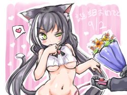 Rule 34 | 1girl, animal ear fluff, animal ears, bad id, bad pixiv id, bare shoulders, black hair, blush, blush stickers, bottomless, bouquet, breasts, cat ears, cat tail, commentary, crop top, dated, flower, gloves, green eyes, greenteaneko, hand to own mouth, heart, highres, holding, holding bouquet, karyl (princess connect!), long hair, medium breasts, out-of-frame censoring, pink background, pointing, princess connect!, remote control vibrator, sex toy, sketch, solo focus, spoken heart, striped, striped background, tail, underboob, vibrator