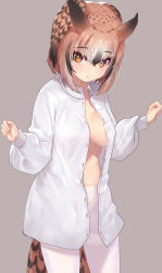 Rule 34 | 1girl, bird tail, breasts, brown eyes, brown hair, commentary request, cowboy shot, dress shirt, eurasian eagle owl (kemono friends), grey background, hair between eyes, head wings, highres, kemono friends, large breasts, long sleeves, looking at viewer, multicolored hair, no bra, no pants, open clothes, open shirt, pantyhose, parted lips, puffy long sleeves, puffy sleeves, shirt, short hair, simple background, solo, tadano magu, tail, thighband pantyhose, unbuttoned, unbuttoned shirt, white pantyhose, wings