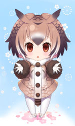 Rule 34 | 10s, 1girl, blue background, blush, brown coat, brown eyes, brown hair, chibi, coat, eurasian eagle owl (kemono friends), floral background, full body, fur trim, gloves, hair between eyes, head wings, kemono friends, looking at viewer, mary janes, multicolored hair, onigiri-kun (demmy), open mouth, outstretched arms, pantyhose, reaching, reaching towards viewer, shoes, solo, standing, white footwear, white gloves, white hair, white pantyhose, wings