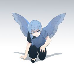 Rule 34 | 1boy, arm support, asymmetrical shirt, bare arms, black footwear, black pants, blue eyes, blue hair, blue shirt, blue wings, braid, child, chinese clothes, feathered wings, flats, full body, gradient background, grey background, hand on ground, highres, long hair, looking at viewer, male focus, nanahyaku torako, on one knee, original, pants, shadow, shirt, short hair with long locks, short sleeves, side braid, single braid, solo, toggles, white background, wings