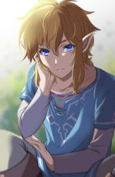 Rule 34 | 1boy, absurdres, artist request, backlighting, blonde hair, blue eyes, blue shirt, blurry, blurry background, close-up, collarbone, eyebrows, eyebrows hidden by hair, eyelashes, hair between eyes, hand on own cheek, hand on own face, highres, link, long sleeves, looking at viewer, male focus, nintendo, pointy ears, shaded face, shirt, short hair, sidelocks, sitting, solo, the legend of zelda, the legend of zelda: breath of the wild