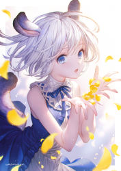 Rule 34 | 1girl, animal ears, bare shoulders, blue eyes, blue ribbon, breasts, eyebrows, hands up, looking at viewer, open mouth, original, petals, ribbon, short hair, small breasts, tail, upper body, wadanaka, white hair