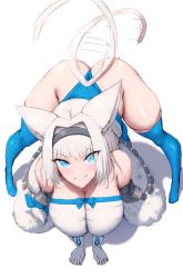 Rule 34 | 1girl, animal ear fluff, animal ears, ass, bare shoulders, bent over, blue eyes, blue leotard, blue ribbon, blue thighhighs, blush, breasts, cat ears, cat girl, cat tail, detached sleeves, dobrynya nikitich (fate), elbow gloves, eyes visible through hair, fate/grand order, fate (series), from above, fur trim, gloves, hair intakes, hair ornament, hairband, highleg, highleg leotard, highres, large breasts, leotard, looking at viewer, low ponytail, ribbon, shiroshisu, simple background, skindentation, smile, solo, strapless, tail, tail wagging, thighhighs, thighs, top-down bottom-up, tube top, wedgie, white background, white gloves, white hair