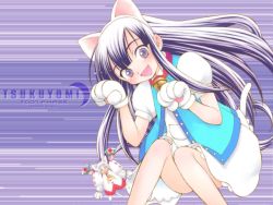 Rule 34 | 00s, 1girl, animal ears, arima keitarou, cat ears, cat tail, hazuki (tsukuyomi), solo, tail, tsukuyomi moonphase