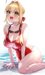 Rule 34 | 1girl, :d, absurdres, ahoge, blonde hair, braid, breasts, cleavage, competition swimsuit, fate/extra, fate (series), french braid, goggles, green eyes, hair bun, hair intakes, highres, large breasts, nero claudius (fate), nero claudius (fate) (all), nero claudius (fate/extra), one-piece swimsuit, open mouth, pool, red one-piece swimsuit, single hair bun, smile, solo, swimsuit, wet, wet clothes, wet swimsuit, yayoi maka