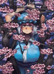 Rule 34 | 1girl, blue kimono, blush, branch, breasts, chanta (ayatakaoisii), cherry blossoms, closed mouth, collared dress, dress, flower, hat, highres, japanese clothes, kimono, large breasts, looking at viewer, obi, mob cap, pink eyes, pink hair, restrained, saigyouji yuyuko, sash, short hair, solo, touhou, tree, upper body