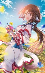 Rule 34 | 1girl, ainu clothes, animal ears, blurry, blurry foreground, blush, breasts, brown eyes, brown hair, day, depth of field, dog ears, dog tail, eruruu, feet out of frame, field, flower, highres, holding, holding flower, layered sleeves, long hair, long sleeves, looking at viewer, looking back, medium breasts, official art, outdoors, sidelocks, sky, smile, solo, standing, star (sky), starry sky, tail, tiv, utawarerumono, utawarerumono: lost flag, watermark, yellow flower