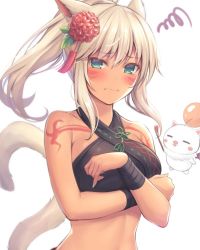 Rule 34 | 1girl, 3:, animal ears, aqua eyes, bandaged arm, bandages, bare shoulders, black shirt, breasts, cat ears, cat tail, commentary request, facial mark, final fantasy, final fantasy xiv, flower, frown, hair flower, hair ornament, halterneck, leaf, long hair, looking at viewer, medium breasts, midriff, miqo&#039;te, moogle, mutsuba fumi, ponytail, shirt, simple background, sleeveless, sleeveless shirt, squiggle, tail, tassel, tattoo, upper body, warrior of light (ff14), white background, white hair
