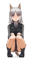Rule 34 | 10s, 1girl, animal ears, black footwear, blush, boots, brave witches, edytha rossmann, fox ears, fox tail, kurowa, looking at viewer, military, military uniform, open mouth, silver hair, simple background, solo, squatting, sweatdrop, tail, uniform, white background, world witches series