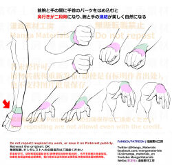 Rule 34 | anatomy, clenched hand, how to, open hand, tagme, tescomaterial, translation request, tutorial