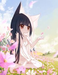Rule 34 | 1girl, animal ears, bare arms, bare shoulders, barefoot, black hair, blue sky, brown eyes, cloud, collarbone, commentary request, day, dress, flower, highres, long hair, on grass, original, outdoors, petals, pink flower, sitting, sky, sleeveless, sleeveless dress, solo, strap slip, very long hair, wariza, white dress, white flower, yuuhagi (amaretto-no-natsu)