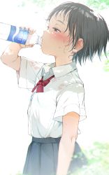 Rule 34 | 1girl, black hair, black skirt, blurry, blurry background, blush, bottle, bow, bra, bra visible through clothes, brown eyes, collared shirt, commentary request, depth of field, dress shirt, drinking, gomennasai, half-closed eyes, hand up, has bad revision, has downscaled revision, highres, holding, holding bottle, md5 mismatch, original, pleated skirt, red bow, resolution mismatch, school uniform, see-through, shirt, short hair, skirt, solo, source smaller, sweat, training bra, underwear, water, water bottle, wet, wet clothes, wet shirt, white bra, white shirt