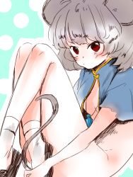 Rule 34 | 1girl, animal ears, blush, bottomless, breasts, capelet, cleavage, female focus, grey hair, jewelry, meeeeeji, meiji (charisma serve), mouse ears, mouse tail, nazrin, pendant, red eyes, short hair, sitting, small breasts, smile, solo, tail, touhou