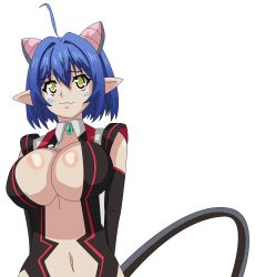 Rule 34 | 10s, 1girl, animal ears, artist request, black leotard, blue hair, breasts, cat demon girl (shinmai maou no testament burst), cat ears, cat tail, cleavage, covered erect nipples, curvy, elbow gloves, embarrassed, gem, gloves, green gemstone, hair between eyes, hair intakes, highleg, highleg leotard, highres, horns, large breasts, leotard, navel, no bra, pointy ears, revealing clothes, shinmai maou no testament, shiny skin, smile, solo, standing, tail, transparent background, underwear, yellow eyes