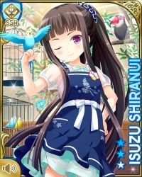 Rule 34 | 1girl, alternate hairstyle, bird, bird on hand, birdcage, black hair, blue dress, cage, card (medium), character name, closed mouth, day, dress, girlfriend (kari), hair ornament, indoors, light blue bow, official art, one eye closed, ponyail, purple eyes, qp:flapper, shiranui isuzu, smile, standing, store, tagme