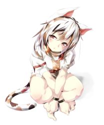 Rule 34 | 1girl, :o, animal ears, barefoot, breasts, cat ears, cat tail, from above, full body, gorilla (bun0615), goutokuji mike, head tilt, highres, indian style, medium breasts, multicolored hair, red eyes, shirt, short hair, shorts, silver hair, simple background, sitting, solo, streaked hair, tail, touhou, white background, white shirt, white shorts