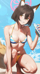 Rule 34 | 1girl, absurdres, animal ear fluff, animal ears, bare arms, bare legs, bare shoulders, barefoot, beach, bikini, blue archive, bottle, breasts, brown hair, day, fox ears, fox tail, grin, halo, highres, holding, holding bottle, izuna (blue archive), izuna (swimsuit) (blue archive), medium breasts, navel, not forever2w, ocean, outdoors, pink halo, ramune, short hair, smile, solo, striped bikini, striped clothes, swimsuit, tail, yellow eyes