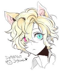Rule 34 | 10s, 1boy, animal ears, blonde hair, blue eyes, cat boy, cat ears, child, closed mouth, diabolik lovers, eyelashes, hair over one eye, heterochromia, looking at viewer, male focus, mukami kou, nozoki davis, partially colored, pink eyes, ponytail, simple background, slit pupils, solo, white background, aged down