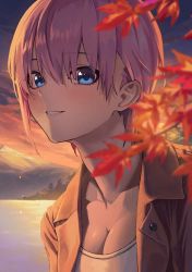 Rule 34 | 1girl, absurdres, autumn leaves, blue eyes, blurry, blurry foreground, breasts, casual, cleavage, collarbone, commentary request, go-toubun no hanayome, gradient sky, hair between eyes, highres, jacket, lake, large breasts, looking at viewer, mountainous horizon, nakano ichika, open clothes, open jacket, orange sky, outdoors, parted lips, pink hair, pink jacket, shirt, short hair, sidelocks, sky, smile, solo, sooon, sunset, upper body, white shirt
