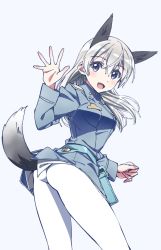 Rule 34 | 1girl, absurdres, animal ears, ass, belt, blue belt, blue eyes, blue jacket, commentary, eila ilmatar juutilainen, fox ears, fox tail, from side, grey background, highres, jacket, kogarashi51, leaning forward, long hair, long sleeves, looking at viewer, looking back, military, military uniform, multiple girls, no pants, open mouth, pantyhose, pouch, silver hair, simple background, smile, solo, standing, strike witches, tail, uniform, waving, white pantyhose, world witches series