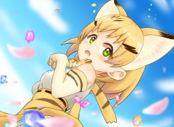 Rule 34 | 10s, 1girl, bad id, bad pixiv id, blonde hair, blue sky, blurry, bow, bowtie, breasts, cat tail, commentary, day, elbow gloves, extra ears, from below, gloves, green eyes, high-waist skirt, highres, kemono friends, looking at viewer, looking down, open mouth, petals, sand cat (kemono friends), sandstar, shiraha maru, shirt, short hair, skirt, sky, sleeveless, sleeveless shirt, solo, tail, white shirt