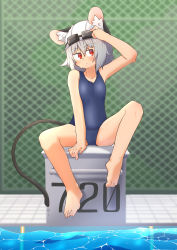 Rule 34 | 1girl, absurdres, alternate costume, animal ears, blue one-piece swimsuit, blush, chain-link fence, closed mouth, commentary request, day, ears through headwear, expressionless, fence, full body, goggles, goggles on head, greenpiecerice, grey hair, highres, mouse ears, mouse girl, mouse tail, nazrin, one-piece swimsuit, outdoors, pool, poolside, red eyes, short hair, sitting, solo, swim cap, swimsuit, tail, textless version, touhou, water, white headwear