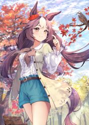 Rule 34 | 1girl, animal, animal ears, autumn, autumn leaves, bird, blue shorts, blue sky, brown hair, closed mouth, cloud, day, ear scrunchie, hamanashi (trapiorra), highres, horse ears, horse girl, horse tail, leaf, long hair, looking away, low twintails, maple leaf, multicolored hair, outdoors, red scrunchie, scrunchie, shorts, sky, smile, solo, standing, streaked hair, tail, thighs, twintails, umamusume, white hair, yamanin zephyr (umamusume)
