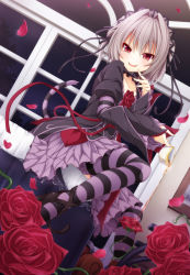 Rule 34 | 1girl, cat tail, fang, flower, frilled thighhighs, frills, hair ornament, hair ribbon, hapymaher, high heels, highres, looking at viewer, mirai nostalgia, naitou maia, open mouth, petals, platform footwear, red eyes, ribbon, rose, shoes, sitting, smile, solo, strappy heels, striped clothes, striped thighhighs, tail, thighhighs, two side up, wakagi repa
