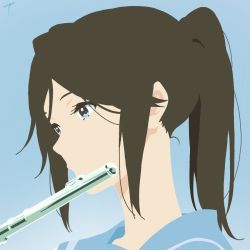 Rule 34 | 1girl, blue background, blue eyes, blue sailor collar, brown hair, croww ttt, expressionless, flat color, flute, hibike! euphonium, holding, holding instrument, instrument, kasaki nozomi, kitauji high school uniform, liz to aoi tori, long hair, music, no lineart, parted lips, playing instrument, ponytail, portrait, sailor collar, school uniform, serafuku, simple background, solo