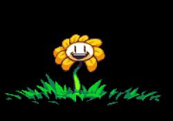 Rule 34 | :d, animated, animated gif, black background, creepy, dancing, evil grin, evil smile, flower, flowey (undertale), glitch, grass, grin, horror (theme), jon davies, open mouth, pixel art, red eyes, simple background, smile, solo, undertale, | |
