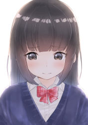 Rule 34 | 1girl, blush, bow, bowtie, brown eyes, brown hair, closed mouth, collared shirt, commentary request, crossdressing, embarrassed, highres, long hair, looking down, male focus, original, red bow, red bowtie, shirt, simple background, solo, upper body, white background, white shirt, wing collar, yuki arare