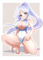 Rule 34 | &gt;:&lt;, 1girl, :&lt;, closed mouth, front zipper swimsuit, highres, long hair, meme attire, minato yoshihiro, one-piece swimsuit, original, ponytail, silver hair, solo, squatting, swimsuit, thick thighs, thighs, turtleneck, v-shaped eyebrows, yellow eyes