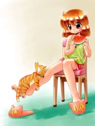 Rule 34 | 1girl, animal slippers, barefoot, brown eyes, brown hair, cat, chair, feet, food, fruit, holding, holding food, holding fruit, legs, original, shoes, short hair, shorts, single shoe, sitting, slippers, solo, tank top, toes, watermelon, zan