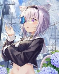 Rule 34 | 1girl, animal ears, artist request, blush, breasts, bug, butterfly, flower, highres, hololive, insect, large breasts, nekomata okayu, official alternate costume, purple eyes, purple hair, source request, stomach, umbrella, virtual youtuber, water drop