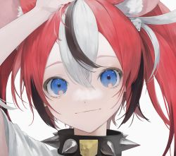 Rule 34 | 1girl, absurdres, animal ear fluff, animal ears, arm up, black collar, black hair, blue eyes, collar, dice hair ornament, hair between eyes, hair ornament, hakos baelz, highres, hololive, hololive english, huge filesize, looking at viewer, mile (mil2), mouse ears, mouse girl, multicolored hair, pale skin, portrait, red hair, solo, spiked collar, spikes, streaked hair, virtual youtuber, white hair