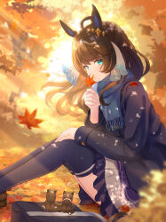 Rule 34 | 1girl, ahoge, animal ears, autumn leaves, bag, black hair, blue eyes, blue jacket, blue scarf, blue skirt, blue thighhighs, blurry, blurry background, commentary request, daring tact (umamusume), day, hair ribbon, highres, horse ears, horse girl, horse tail, jacket, kashmir 0808, leaf, long hair, long sleeves, looking at viewer, looking to the side, maple leaf, medium hair, outdoors, pleated skirt, ribbon, scarf, school uniform, sitting, skirt, stuffed animal, stuffed horse, stuffed toy, swept bangs, tail, thighhighs, tracen school uniform, umamusume, white ribbon