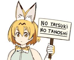 Rule 34 | 10s, 1girl, animal ears, blonde hair, bow, bowtie, commentary, commentary request, elbow gloves, english text, gloves, highres, holding, holding sign, kemono friends, lavie (bansheestrikes), orange bow, orange bowtie, print bow, print bowtie, serval (kemono friends), serval print, sign, simple background, sketch, sleeveless, tagme, two-tone bowtie, white background, white bow, white bowtie, yellow eyes